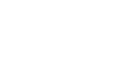 Revenue.ie Logo